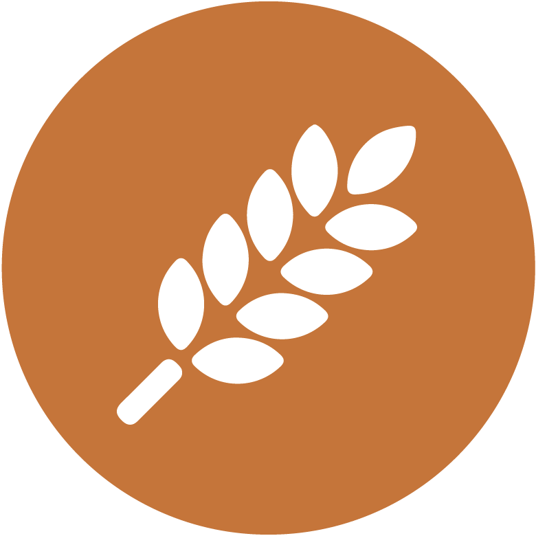 CEREALI, FARINE E SEMI