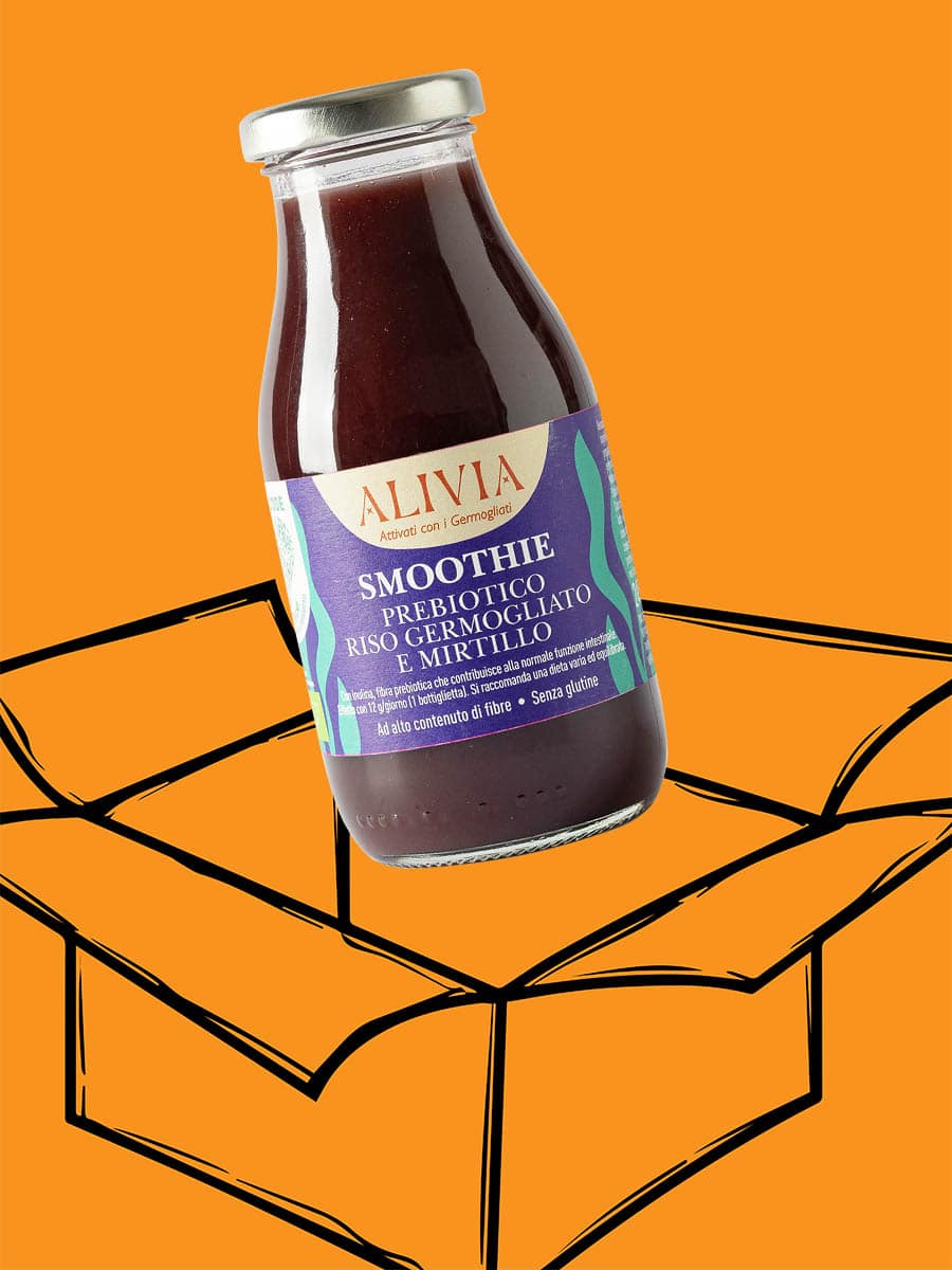 Smoothie prebiotico riso germogliato e mirtillo bio - 245 ml - cartone 8 pz